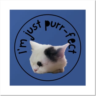 I'M JUST PURRFECT Posters and Art